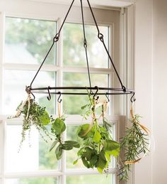 Herb-Hanger