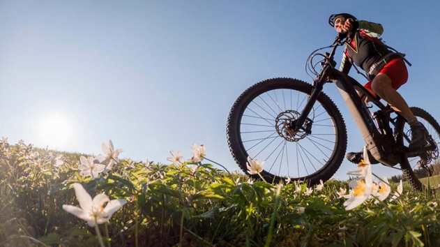 person on the mountain with an electric bike