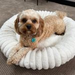Medium Cloe Pet Bed
