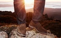Suede Shoes
